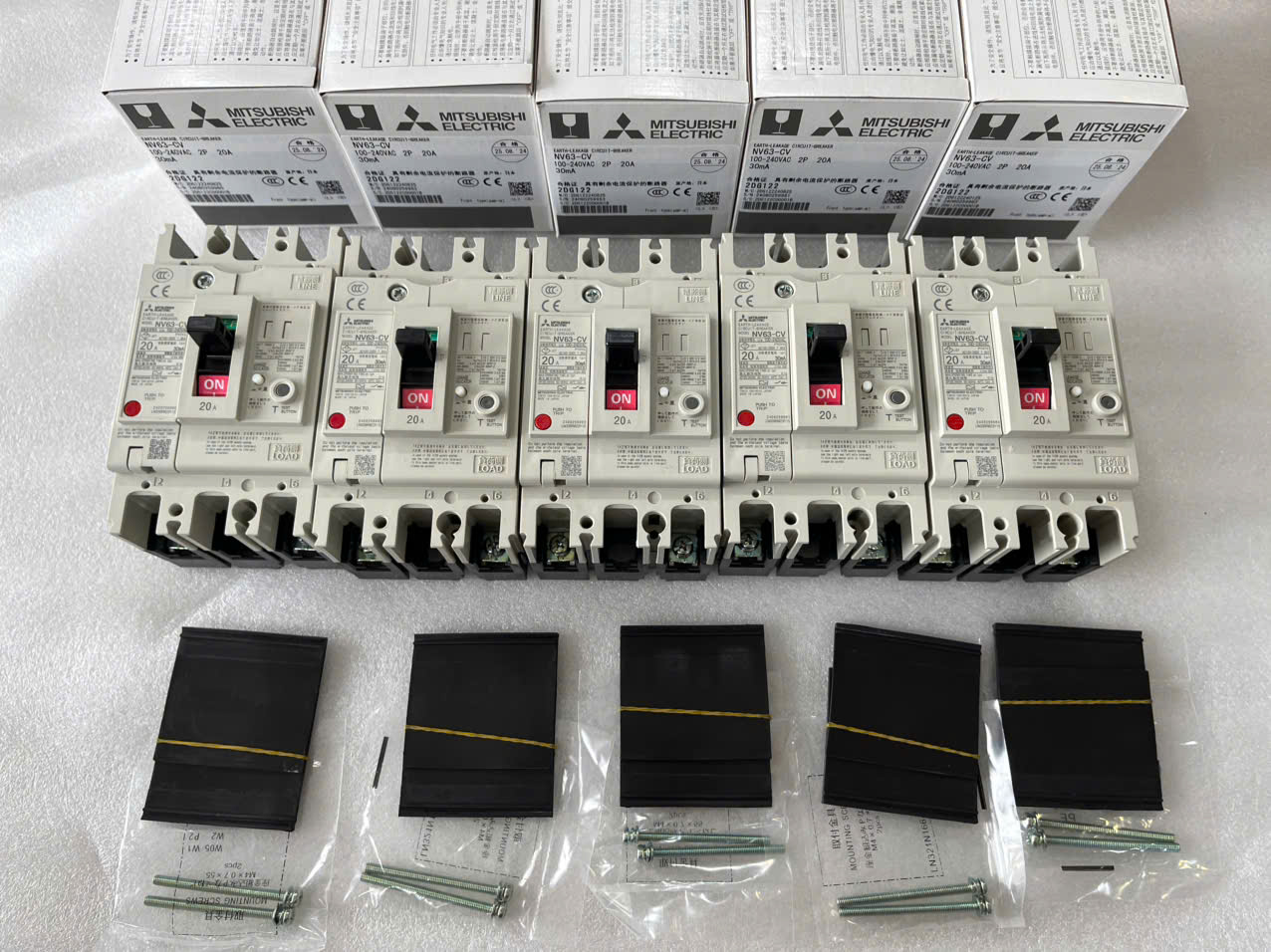 Cầu dao điện dạng khối NV63-CV 2P 20A 30mA